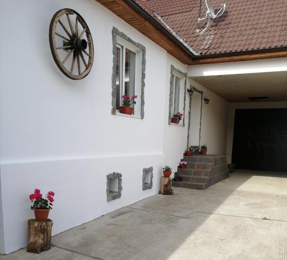 Hotel Borlova /Muntele Mic Extérieur photo
