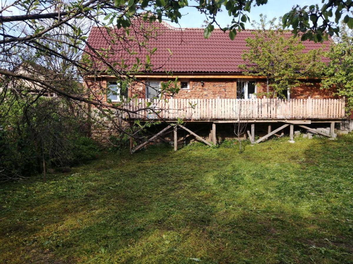 Hotel Borlova /Muntele Mic Extérieur photo