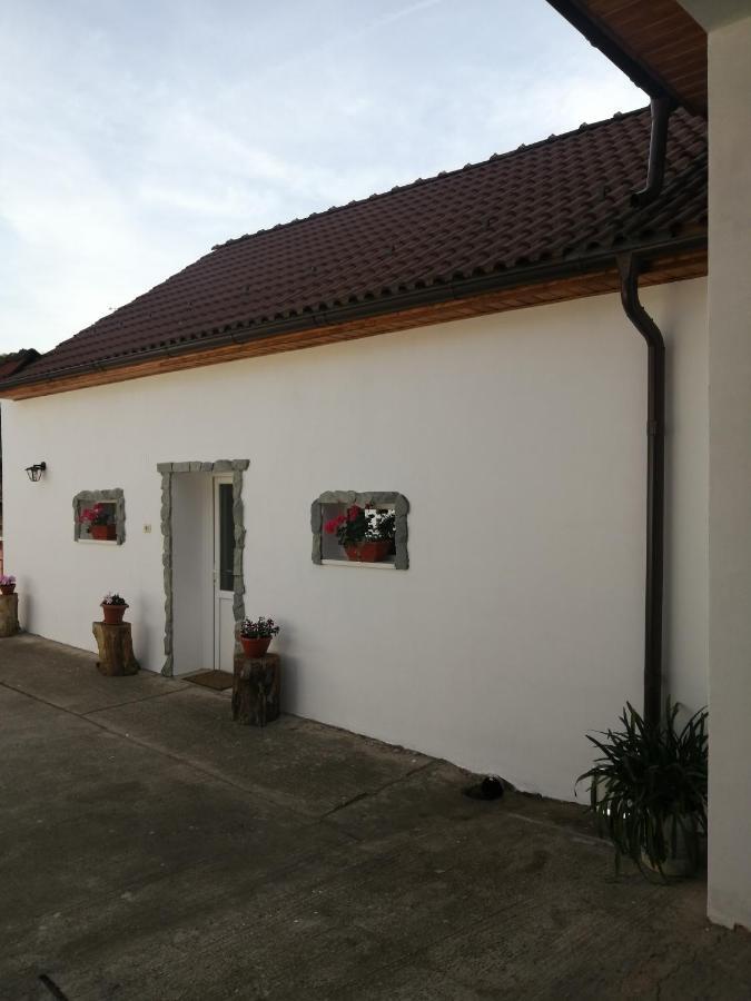Hotel Borlova /Muntele Mic Extérieur photo