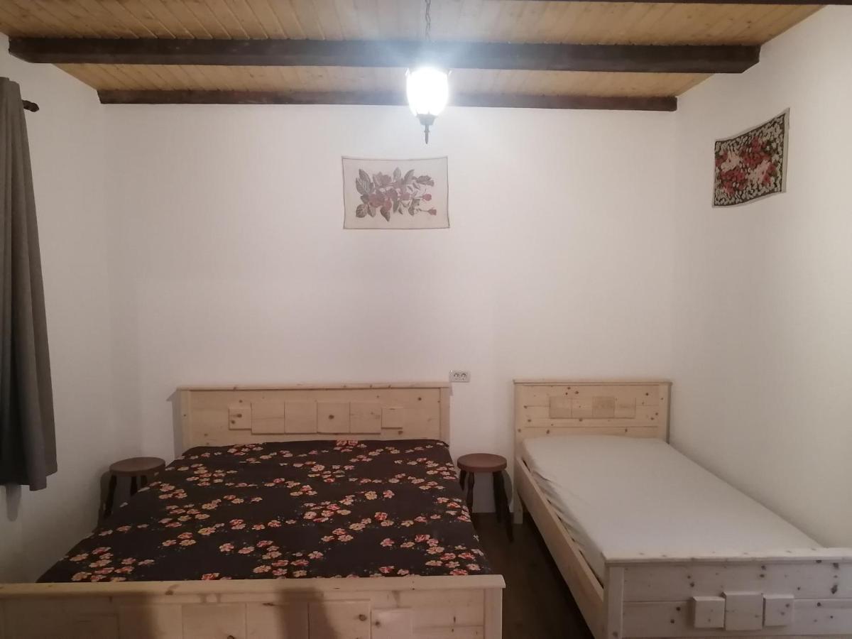 Hotel Borlova /Muntele Mic Extérieur photo