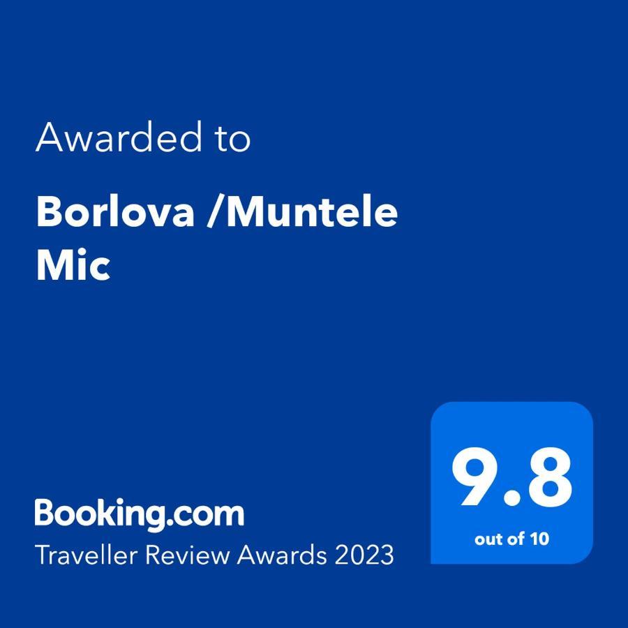 Hotel Borlova /Muntele Mic Extérieur photo