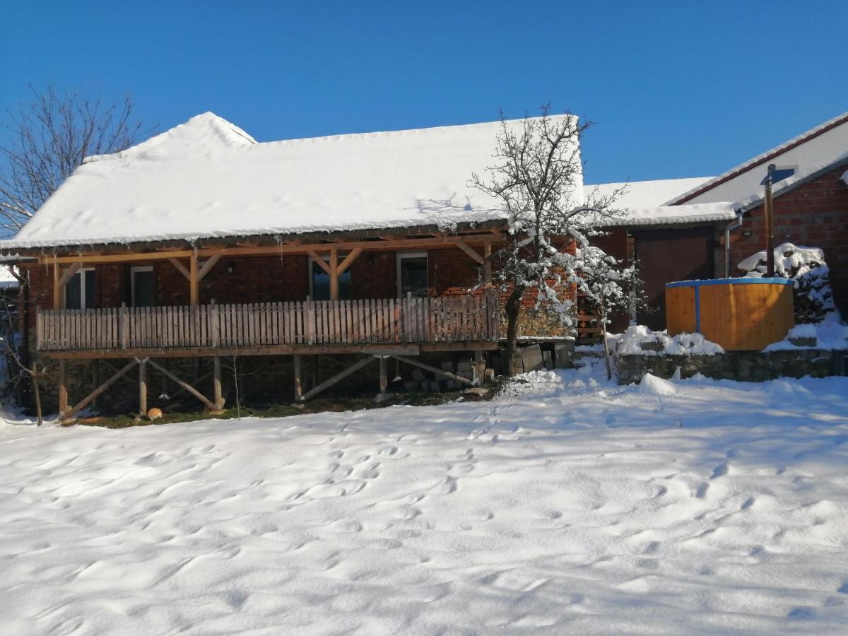 Hotel Borlova /Muntele Mic Extérieur photo